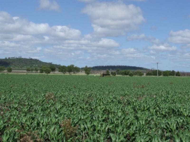 . Zanzibar, Pittsworth QLD 4356