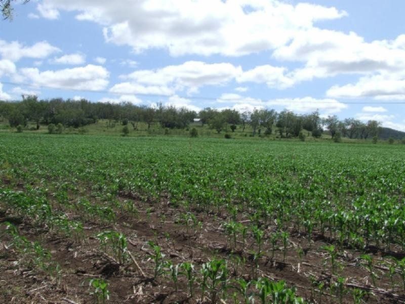 . Zanzibar, Pittsworth QLD 4356