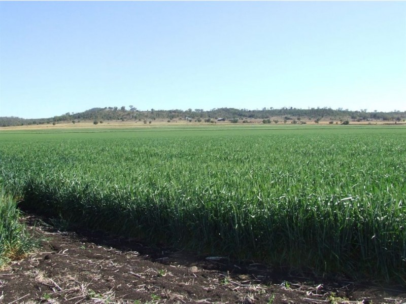 . Linthorpe Valley, Pittsworth QLD 4356