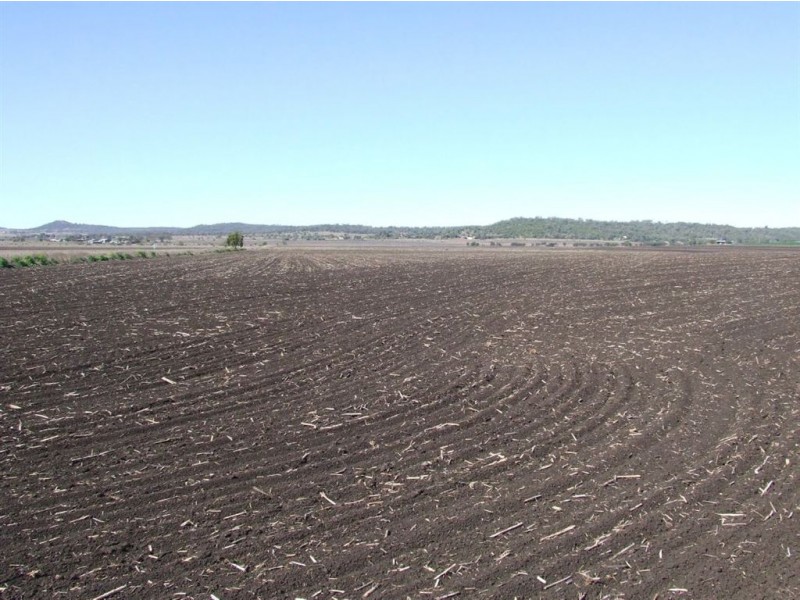 . Linthorpe Valley, Pittsworth QLD 4356