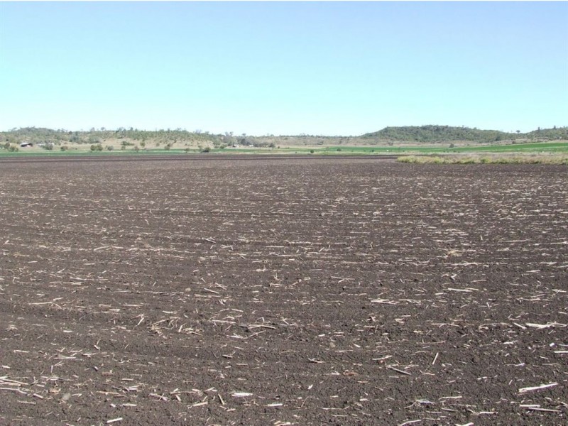 . Linthorpe Valley, Pittsworth QLD 4356