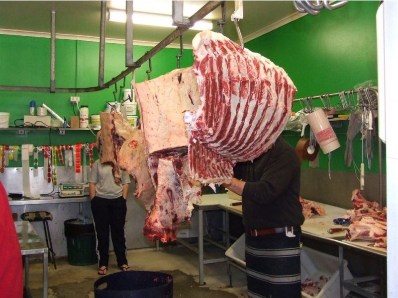 112 Yandilla St, Pittsworth QLD 4356