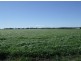 374 Athol School Road, Athol QLD 4350