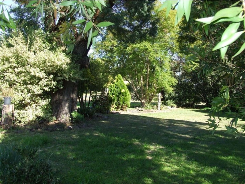 19 Bayley Street, Pittsworth QLD 4356