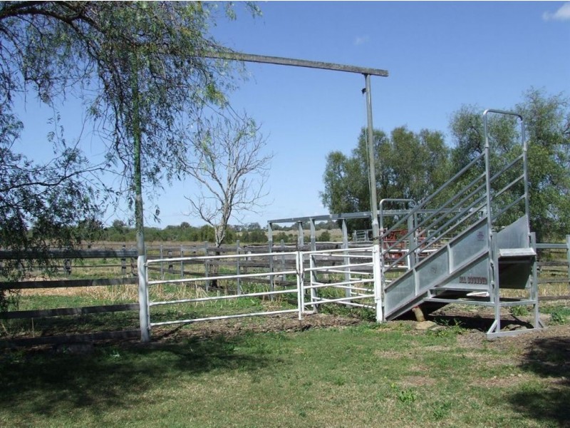 . Kolberg Road, Pittsworth QLD 4356