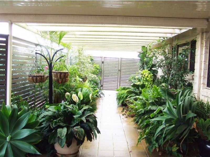 4 Ebony Court, Pittsworth QLD 4356