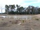204 Turallin Road, Millmerran QLD 4357