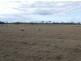 204 Turallin Road, Millmerran QLD 4357
