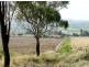 71 Macaulay Road, Westbrook QLD 4350