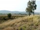 71 Macaulay Road, Westbrook QLD 4350