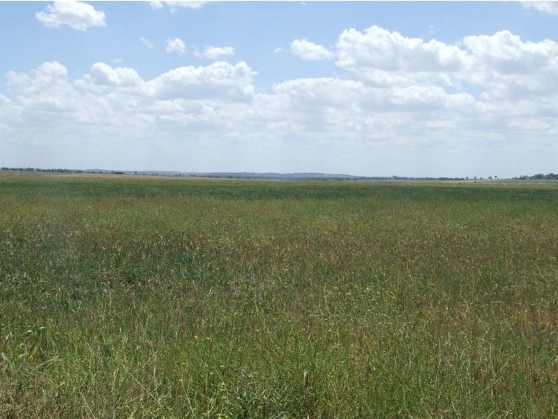 424 Wellcamp – Westbrook Road, Westbrook QLD 4350