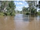 . “LYNDELL”, Pittsworth QLD 4356
