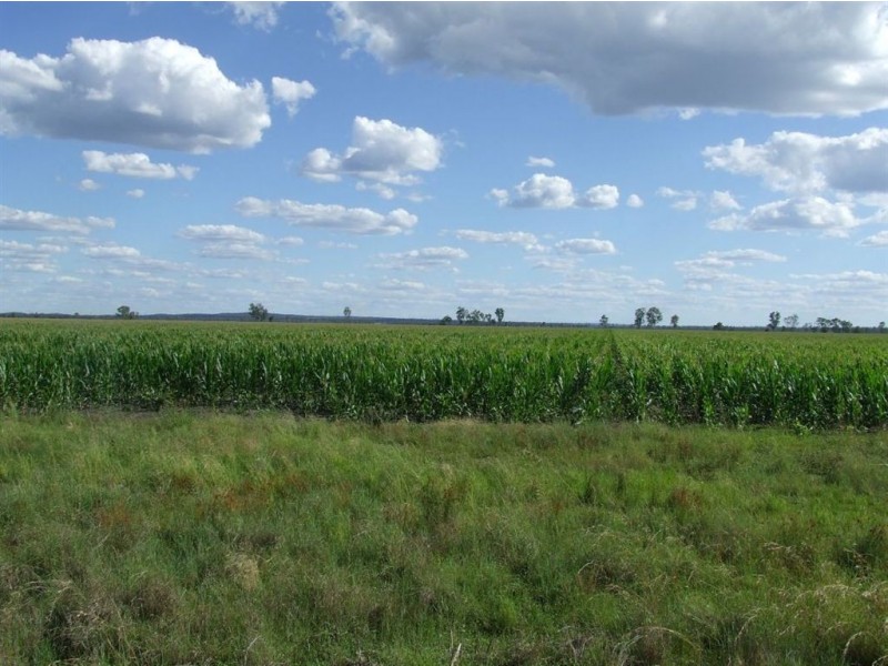 . “LYNDELL”, Pittsworth QLD 4356