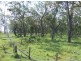 . “LYNDELL”, Pittsworth QLD 4356