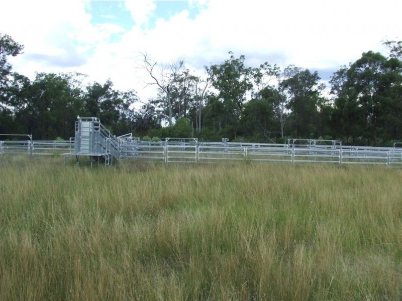 . ‘Lynelle Downs’ 389 Elsley’s Road, Inglewood QLD 4387