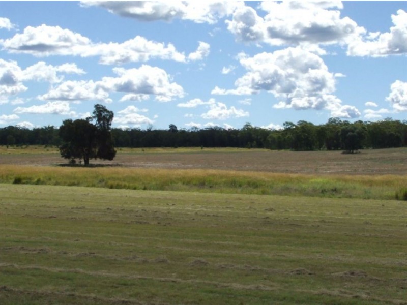 . ‘Lynelle Downs’ 389 Elsley’s Road, Inglewood QLD 4387