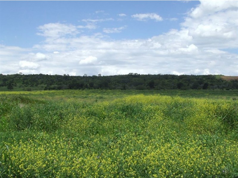 . Tummaville Road, Pittsworth QLD 4356