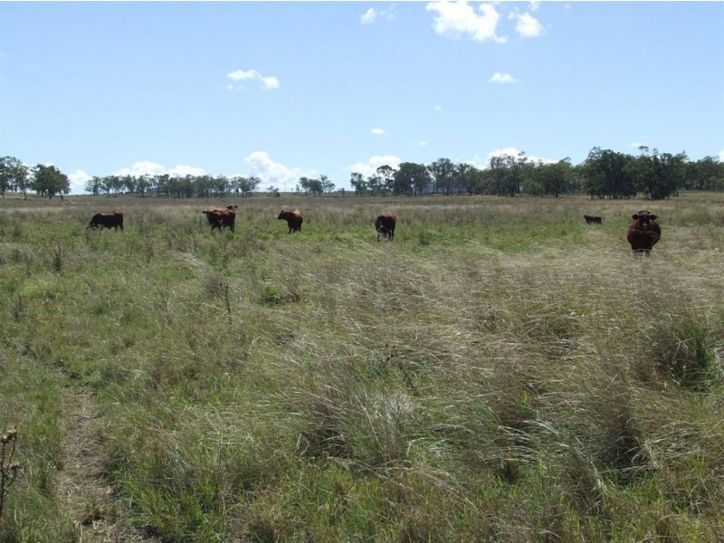 . Naumann Road, Back Plains QLD 4361