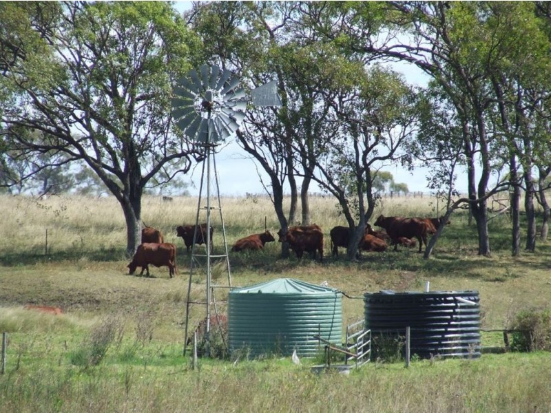 . Naumann Road, Back Plains QLD 4361