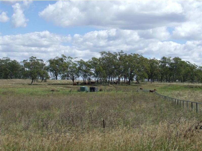 . Naumann Road, Back Plains QLD 4361