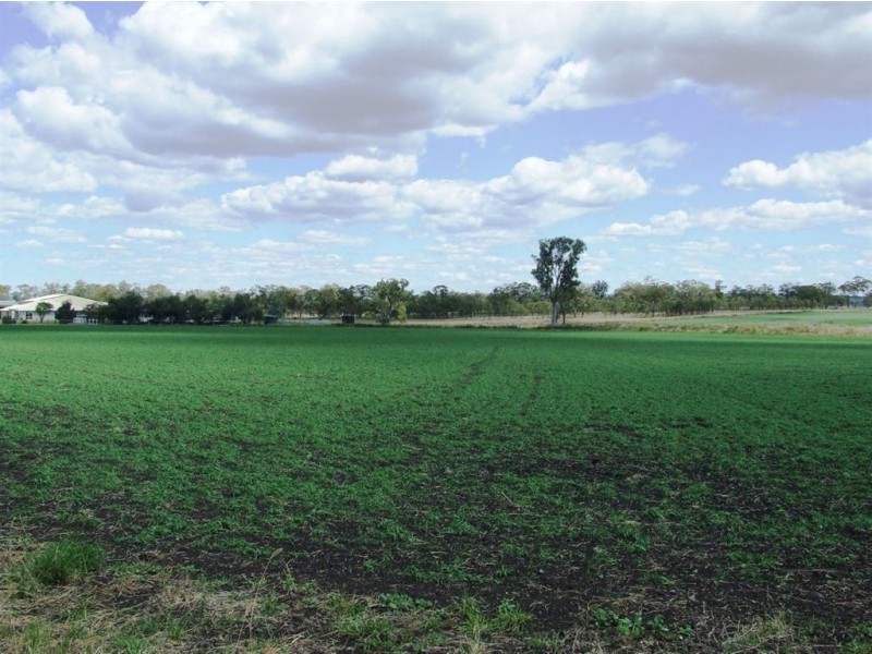 . Naumann Road, Back Plains QLD 4361