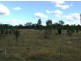 Lot 6 Dennison Park Road, Leyburn QLD 4365