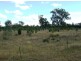 Lot 6 Dennison Park Road, Leyburn QLD 4365