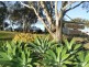 132 Short St, “Daniel’s Hill”, Pittsworth QLD 4356
