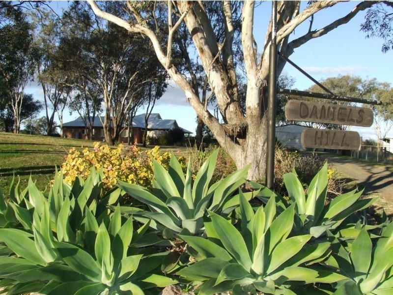 132 Short St, “Daniel’s Hill”, Pittsworth QLD 4356