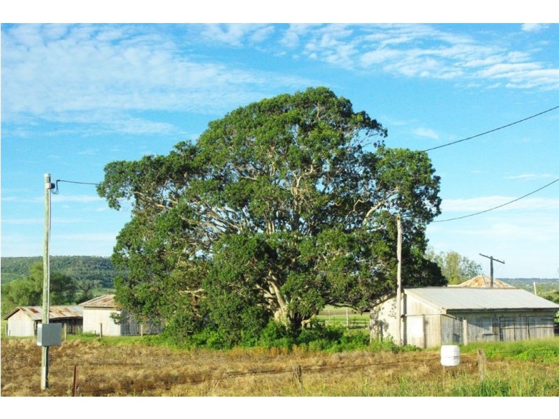 180 Steger Road, Charlton QLD 4350