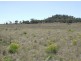 . Moran Road, Linthorpe, Pittsworth QLD 4356