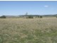 . Moran Road, Linthorpe, Pittsworth QLD 4356
