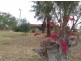 ” Lacefield, Felton Road, Pittsworth QLD 4356