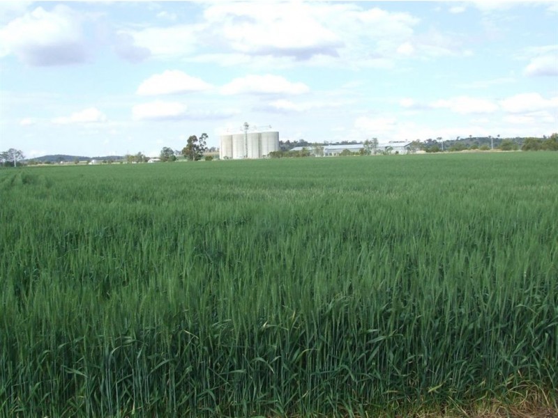 . Watson Road, Yarranlea, Pittsworth QLD 4356