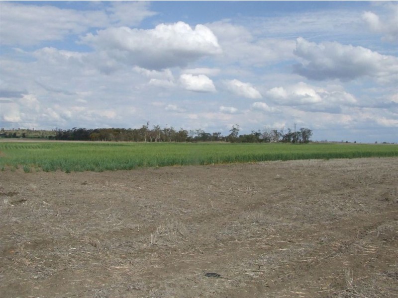 . Watson Road, Yarranlea, Pittsworth QLD 4356