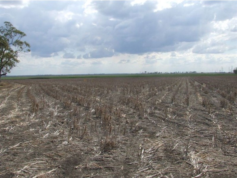 . Watson Road, Yarranlea, Pittsworth QLD 4356