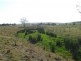 . 80 acres, Pittsworth QLD 4356