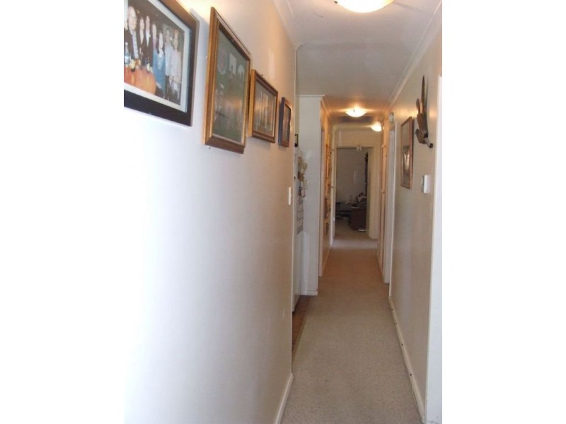 19 Hill Street, Pittsworth QLD 4356