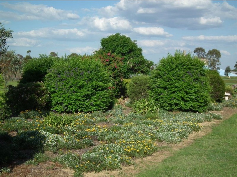 Lot 3 Castles Road, Millmerran QLD 4357