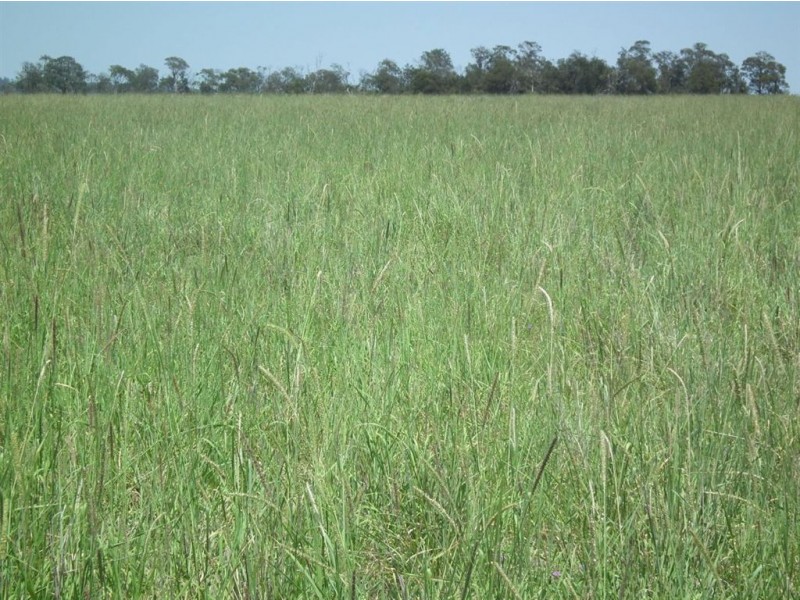 0 Boola Creek Rd, Bringalily, Millmerran QLD 4357