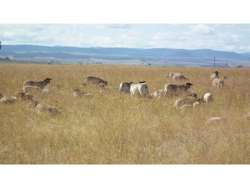 491 Doolan Road, Nobby QLD 4360