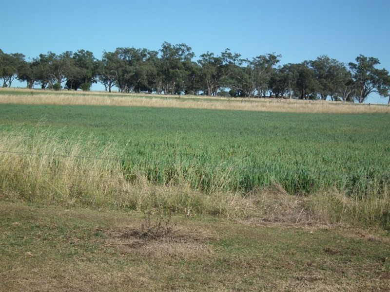 491 Doolan Road, Nobby QLD 4360