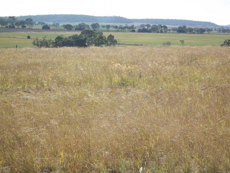 491 Doolan Road, Nobby QLD 4360