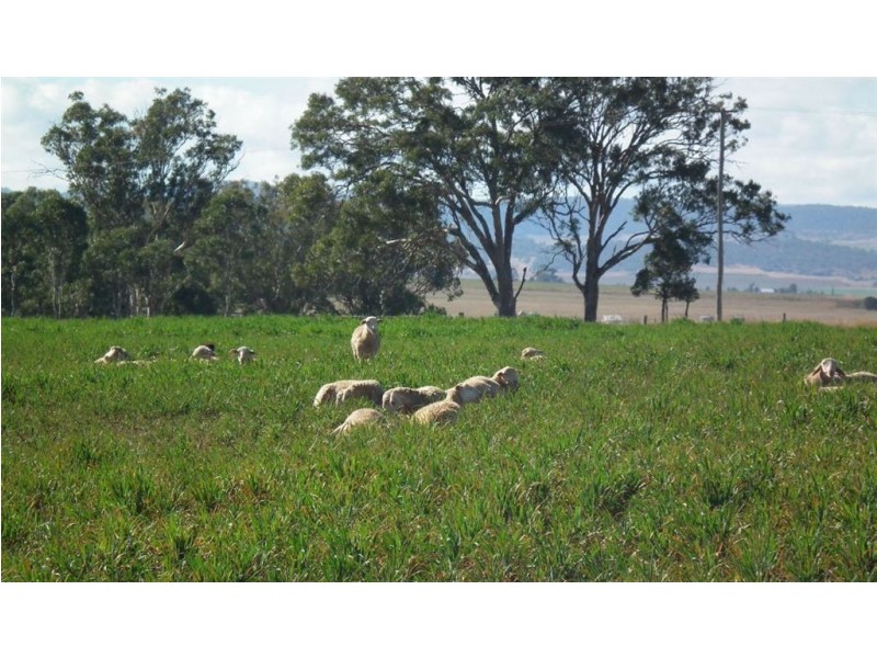 491 Doolan Road, Nobby QLD 4360