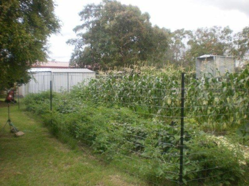 23 Florence Street, Pittsworth QLD 4356