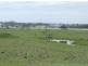 . Murray St,, Pittsworth QLD 4356
