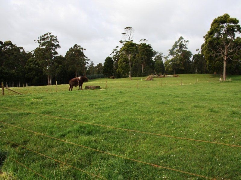 1693 Trowutta Road, Roger River TAS 7330