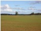 249 Maguires Road, Nabageena TAS 7330