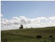 249 Maguires Road, Nabageena TAS 7330