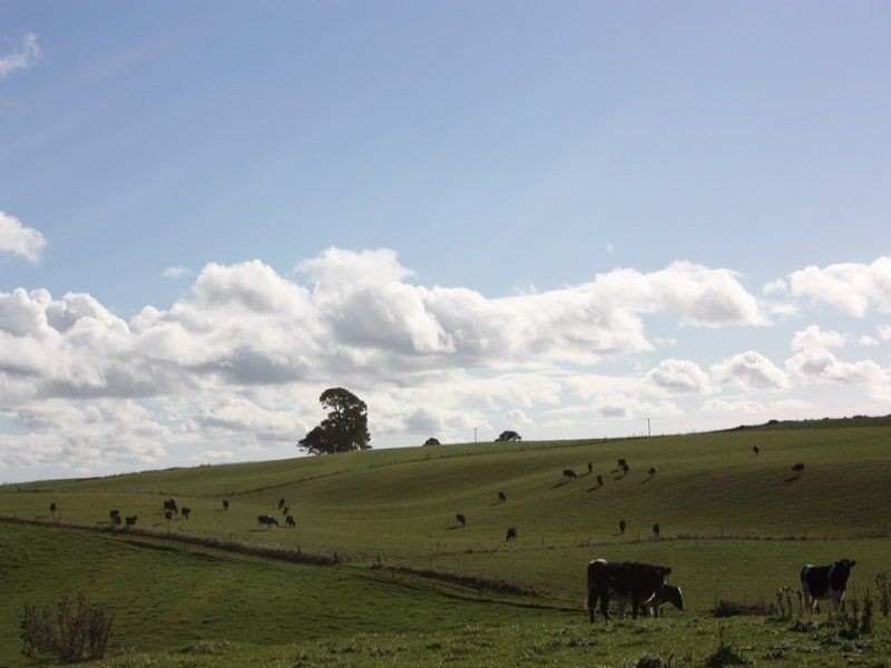 249 Maguires Road, Nabageena TAS 7330